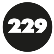 229 logo