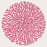 Hypha Studio Kentish Town logo