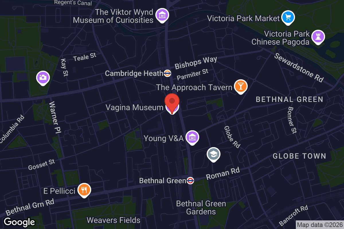 Map showing location of Vagina Museum