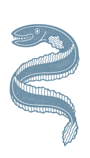 The Black Eel logo